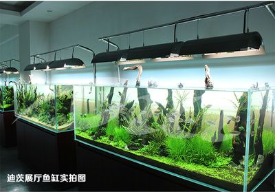 顶级鱼缸品牌排行榜及价格：顶级鱼缸价格是多少 鱼缸百科 第4张