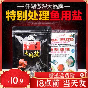 龙鱼烂鳍烂尾用什么药好：龙鱼烂鳍烂尾的日常护理 龙鱼百科 第5张