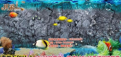 海辉鱼缸：海辉鱼缸怎么样 鱼缸百科 第4张