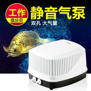 龙鱼缸氧气泵用不用一直开着：关于龙鱼缸氧气泵使用的建议 龙鱼百科 第5张