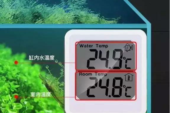鱼缸温度计的正确使用方法：鱼缸温度计怎么使用 鱼缸百科 第1张