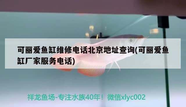 可丽爱鱼缸售后维修电话可丽爱鱼缸寿命：可丽爱鱼缸售后服务 鱼缸百科 第5张