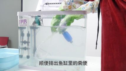 鱼缸虹吸声音消除：如何消除鱼缸虹吸的声音 鱼缸百科 第2张