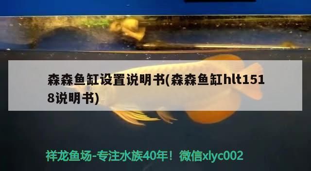 森森hlt1518f鱼缸：森森hlt1518f鱼缸怎么样 鱼缸百科 第4张