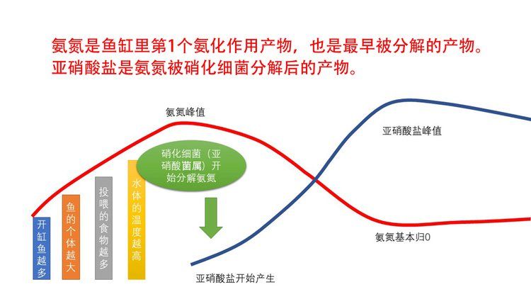 鱼缸清洁后的水质检测方法：鱼缸水质检测方法 鱼缸百科 第2张