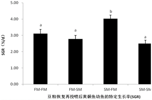 雪龙鱼饲料中添加植物蛋白效果：雪龙鱼饲料中植物蛋白替代方案