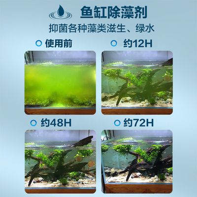 鱼缸除藻剂对鱼有害吗：鱼缸除藻剂使用方法 鱼缸百科 第3张