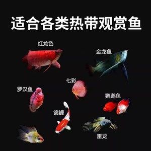 龙鱼用led能发色吗视频讲解下载：led灯可以帮助龙鱼发色吗？ 龙鱼百科 第5张