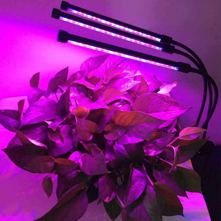 全光谱植物灯适用植物种类：全光谱植物灯与自然光对比，全光谱植物灯在科研中的应用案例 水族灯（鱼缸灯） 第4张