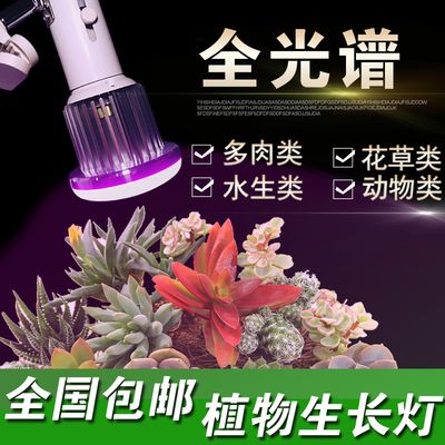 全光谱LED灯与水草生长的关系研究：全光谱led灯对水草生长有何影响？ 水族灯（鱼缸灯） 第5张