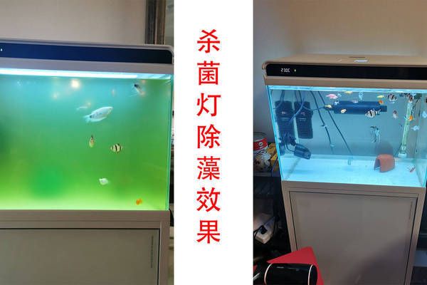 水族箱紫外线灯的最佳使用时间：水族箱紫外线灯的使用时间 水族灯（鱼缸灯） 第2张