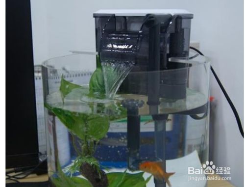 鱼缸水质检测仪器维护方法：鱼缸水质检测仪器的维护方法 鱼缸百科 第1张