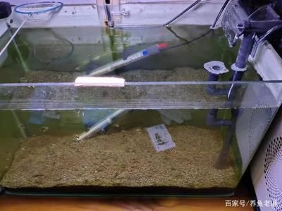 鱼缸水质检测仪器维护方法：鱼缸水质检测仪器的维护方法 鱼缸百科 第2张