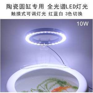 LED灯光对鱼健康的具体影响：led灯光对鱼的健康有多方面影响， 水族灯（鱼缸灯） 第5张