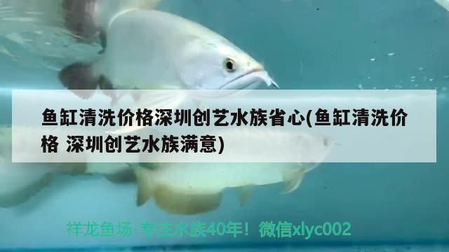 一米鱼缸用8毫米玻璃：一米鱼缸用8毫米玻璃是一种怎样的设计 鱼缸百科 第2张