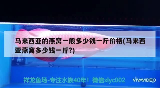 一米鱼缸用8毫米玻璃：一米鱼缸用8毫米玻璃是一种怎样的设计 鱼缸百科 第3张