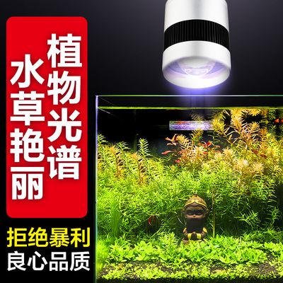 LED水草灯的未来发展趋势：led水草灯未来发展趋势将集中在技术创新、市场需求增长 水族灯（鱼缸灯） 第3张