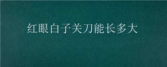 红眼白子关刀鱼苗生长周期：红眼白子关刀鱼苗的具体生长周期 白子关刀鱼 第4张