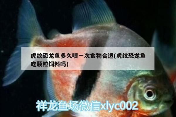 金龙鱼养殖基地设备有哪些：关于金龙鱼养殖基地的问题 水族问答 第2张