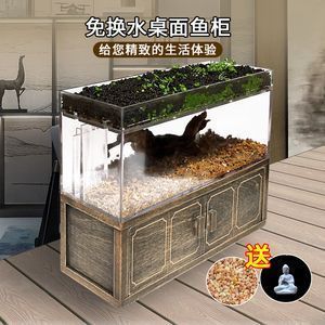 热带鱼适宜的灯光颜色：热带鱼适宜的灯光颜色介绍 水族灯（鱼缸灯） 第4张