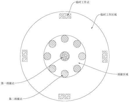 水生植物灯光诱捕效果：水生植物灯光诱捕对水生植物的影响研究，水生植物光合作用受影响 水族灯（鱼缸灯） 第1张