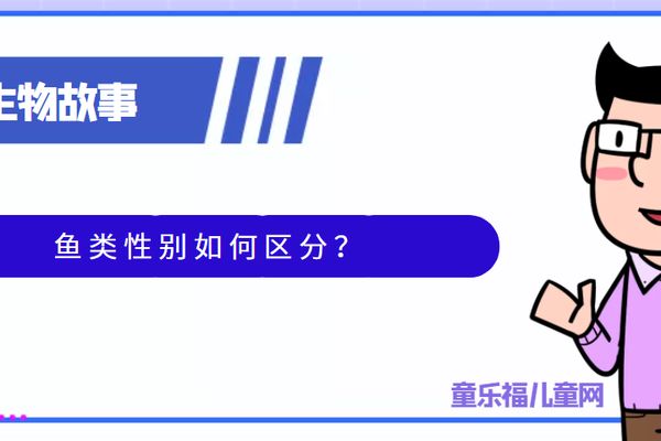 如何判断关刀鱼性别：关于关刀鱼性别判断的方法 白子关刀鱼 第1张