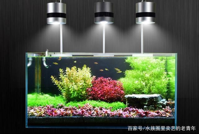 水族灯防爆措施有哪些：水族灯使用中的安全注意事项 水族灯（鱼缸灯） 第4张