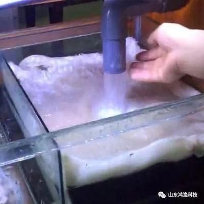 鱼缸澄清剂使用方法：鱼缸水质检测方法，鱼缸过滤系统优化，鱼缸内植物养护技巧 鱼缸百科 第2张