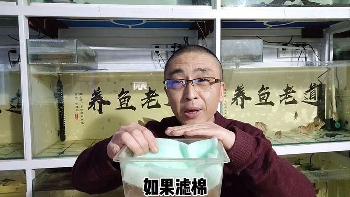 鱼缸滤盒干湿分离好吗：干湿分离滤盒的优缺点 鱼缸百科 第2张