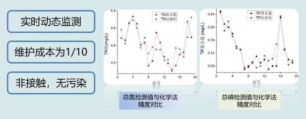 银板鱼混养水质检测频率：银板鱼混养时水质检测频率在每天一次，水质检测频率在每天一次