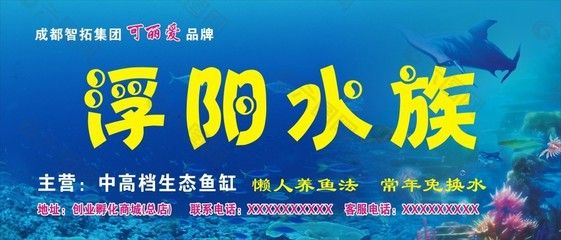 可丽爱鱼缸咋样养鱼：可丽爱鱼缸养鱼需定期换水一般3~5天更换10% 鱼缸百科 第1张