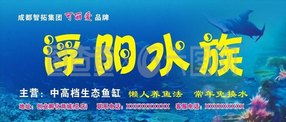 可丽爱鱼缸咋样养鱼：可丽爱鱼缸养鱼需定期换水一般3~5天更换10% 鱼缸百科 第4张