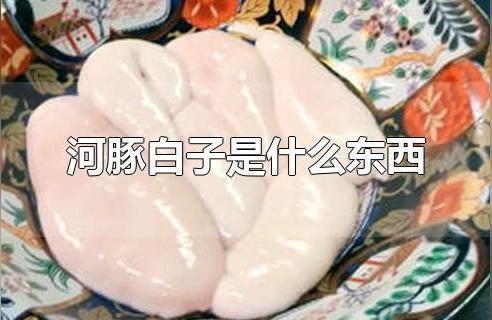 细线银版鱼繁殖饲料中添加物：细线银版鱼繁殖饲料中添加物的研究