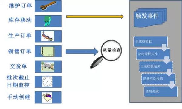 金龙鱼一般多久喂一次龟粮：喂养金龙鱼龟粮的最佳量是多少， 水族问答 第2张