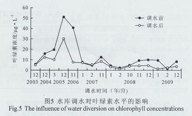 金龙鱼一侧掉眼怎么处理：金龙鱼一侧掉眼怎么办？ 水族问答 第1张