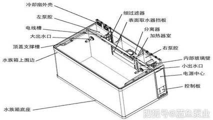 鱼缸变频加热器工作原理：如何正确使用鱼缸变频加热器 鱼缸百科 第2张