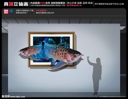 红龙鱼金龙鱼壁画