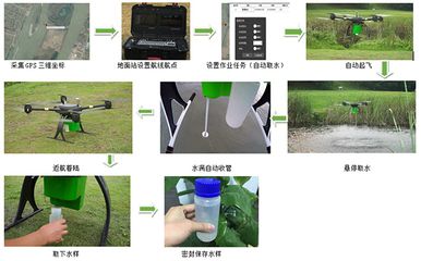 细线银版鱼繁殖水质监测方法：细线银版鱼的繁殖技巧