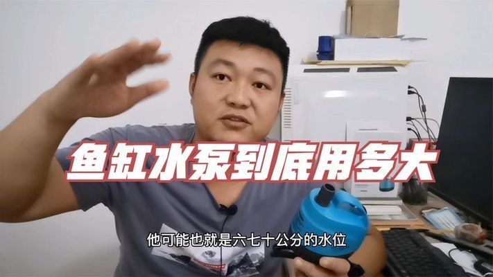 龙鱼缸水泵选水体的几倍：龙鱼缸水泵选择水体容量的5-10倍流量牌推荐