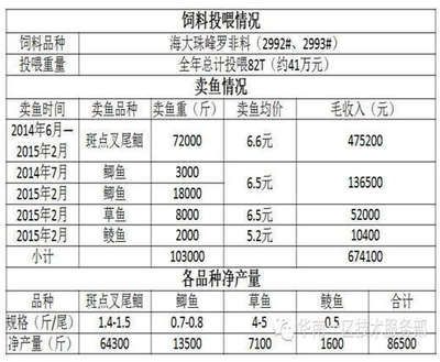 混养申古银版鱼投喂量标准：申古银版鱼混养投喂量标准 细线银板鱼苗 第3张