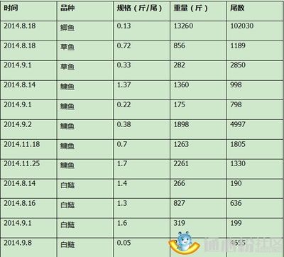 混养申古银版鱼投喂量标准：申古银版鱼混养投喂量标准 细线银板鱼苗 第1张