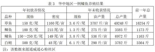 混养申古银版鱼投喂量标准：申古银版鱼混养投喂量标准 细线银板鱼苗 第5张