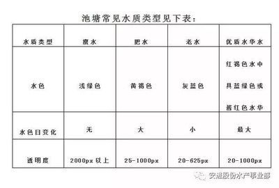 大型鱼类饲养水质要求：饲养银龙鱼时需要注意的水质要求 龙鱼百科 第3张