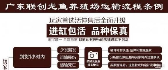 龙鱼血统查询的具体流程：如何查询龙鱼的血统 龙鱼百科 第3张