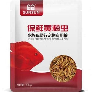 银龙鱼能用黄粉吗：银龙鱼使用黄粉对鱼类具体危害，水族箱水质维护技巧 龙鱼百科 第5张