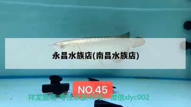 永昌水族店红魔王银版鱼价格：无法得知永昌水族店红魔王银版鱼的价格