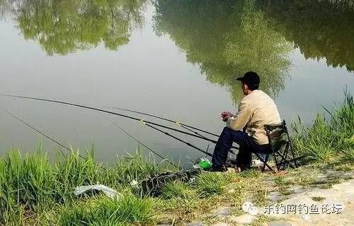 银版鱼饲料开封后保存：银版鱼饲料开封后保存期限多久能否冷冻保存 细线银板鱼苗 第2张