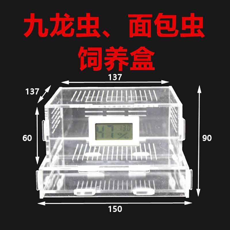 龙鱼专用灯是多少伏的电压的：龙鱼专用灯的电压范围 龙鱼百科 第3张