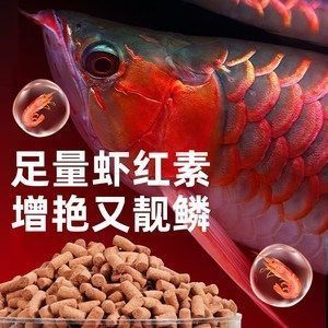 红龙鱼增色药怎么用：红龙鱼增色药副作用，红龙鱼水质管理技巧 红龙鱼百科 第1张