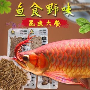 红龙鱼增色药怎么用：红龙鱼增色药副作用，红龙鱼水质管理技巧 红龙鱼百科 第3张